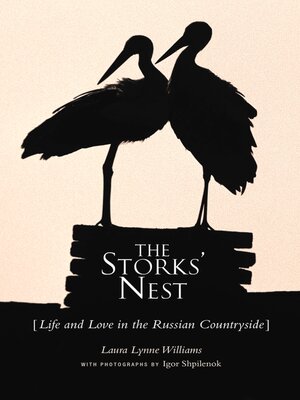 cover image of The Storks' Nest